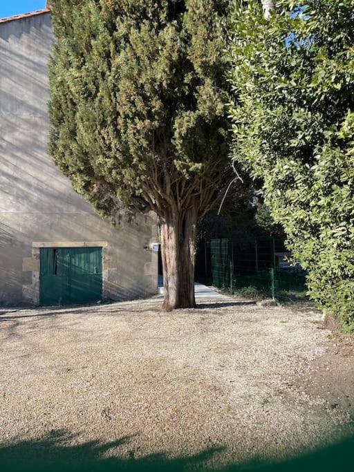 7 Rayons Vila Avinhão Exterior foto